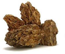 AQUARIUM FISH TANK DRAGON