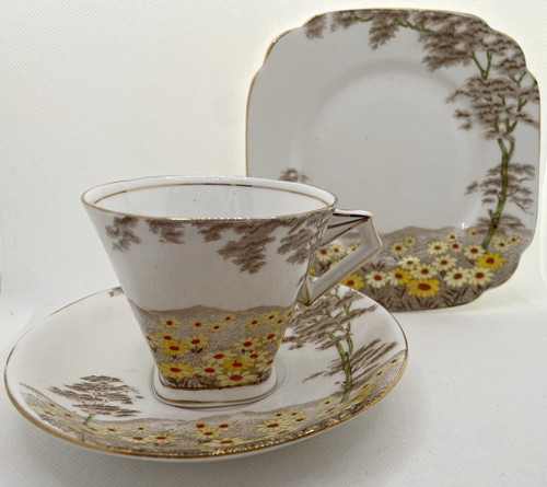 Rare daisyfield royal standard - rare,