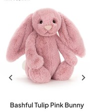 Genuine New Jellycat Bashful