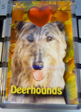 Deerhound Dog Fridge Magnet