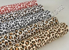 SAVER OFFER PACK 5 LEOPARD