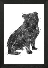 English Bulldog Puppy Framed