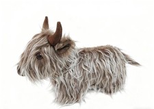 Highland cow door - door, cute