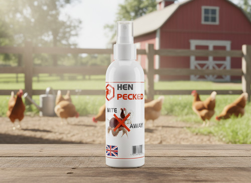 Hen pecked red mite - mite,