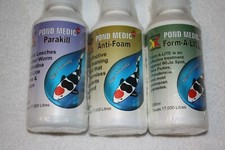 CLEARANCE YAMITSU KOCKNEY KOI