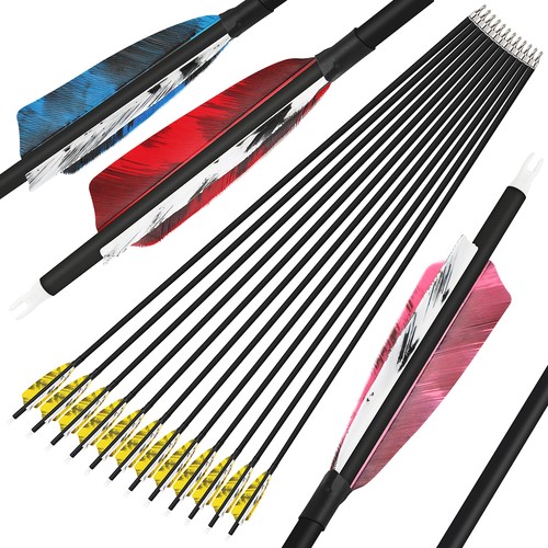 31 carbon arrows - 30",