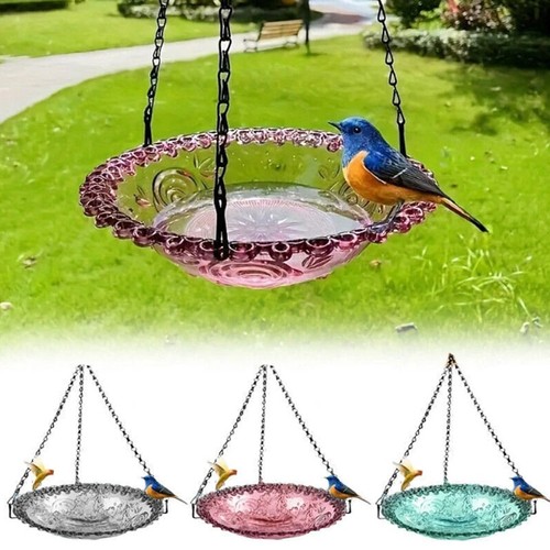Hanging bird feeder - bird, stand
