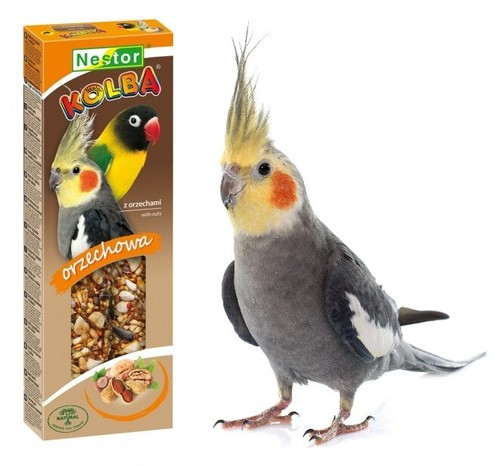 Parrots bird food - bird, nuts