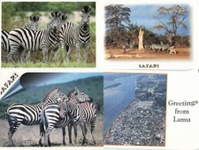 Safari 4 Postcards-Kenya 2011 Zebra Aerial view of Lamp Town