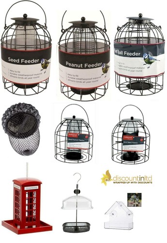 New squirrel proof feeding - squirrel,