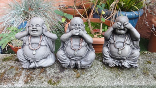 Wise buddhas garden - wise,