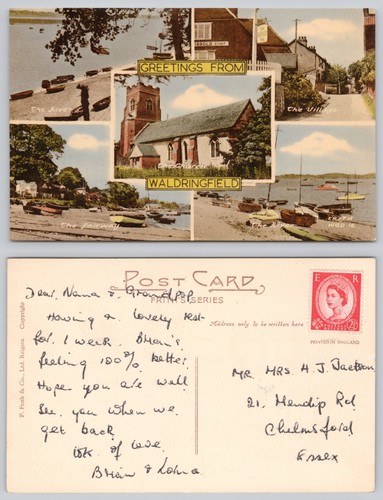 S30146 greetings from - greetings,