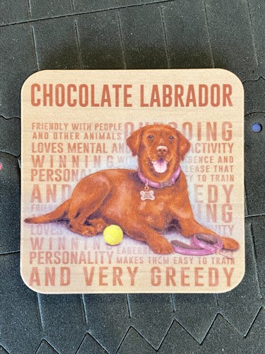 Dog drinks coaster - dog,