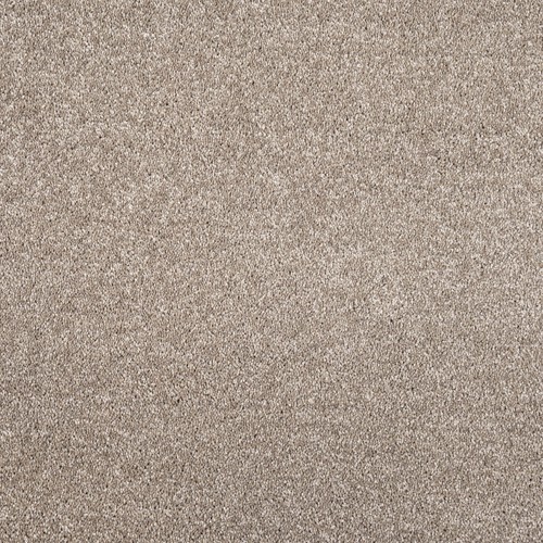 Mink brunswick saxony carpet - mink,