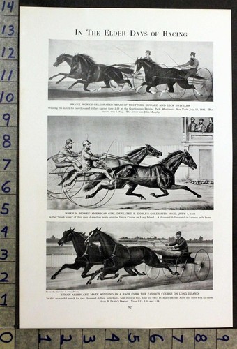 1926 equestrian horse harness - 1926,