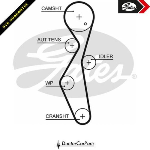 Cam timing belt for - belt,