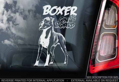 Boxer dog car window - -,