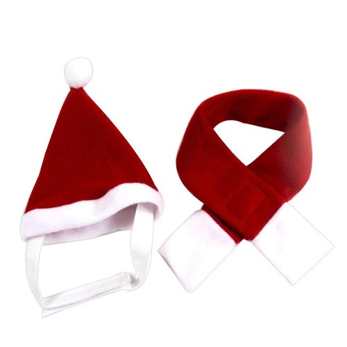 Dog cat christmas hat - dog,