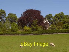 Photo 6x4 A house near Denton