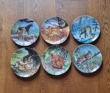 Knowles Great Cats Of The