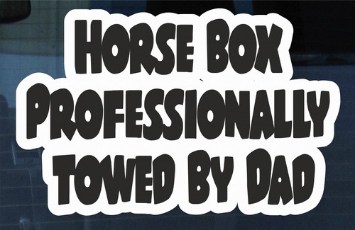 Horsebox professionally driven - professionally,