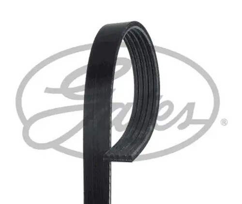 Multi ribbed belt 5pk978 - multi-ribbed, v-belt