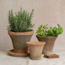 Rustic Terracotta Pot x1, Trumpet Pot, Herb Flower Clay Pot, Succulent Planter