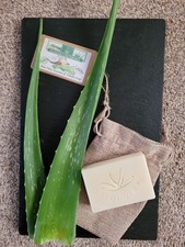 Organic, Aloe Vera & Coconut Soap Bars scented with Vanilla or Lavender