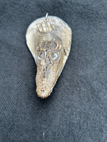 Alligator taxidermy brand - alligator,