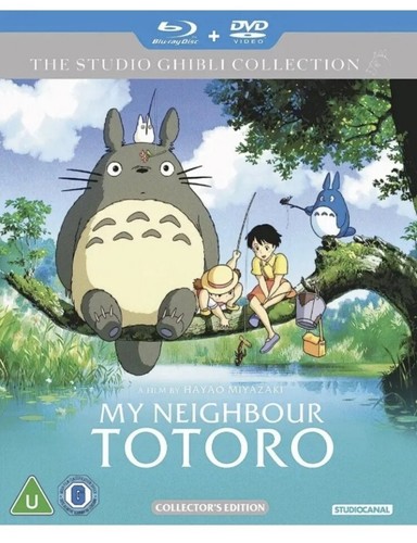 Neighbour totoro - neighbour,