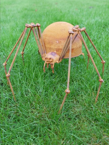 Rusty spider garden - rusty,