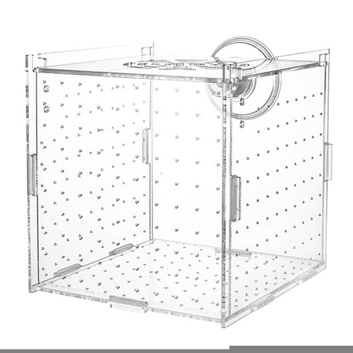Fish tank isolation - fish,