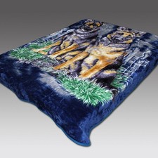 ALSATION GERMAN SHEPHERD DOG