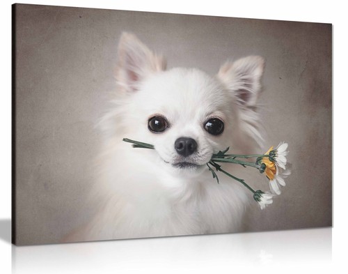 Chihuahua with flowers framed - chihuahua,