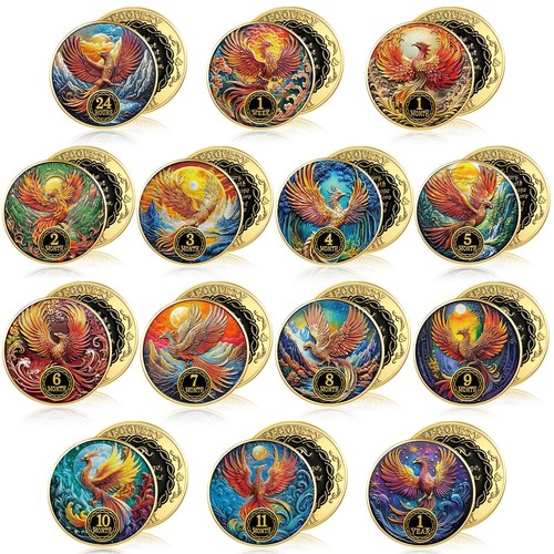 Pcs sobriety coins - pcs, set