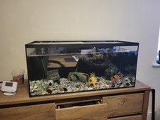 Large Fish Tank Bundle, Great Condition, Includes Pump, Feeder Etc.