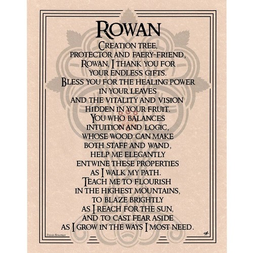 Rowan tree prayer poster - rowan, 8.5