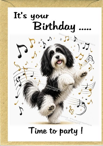 Tibetan terrier dog - terrier, birthday