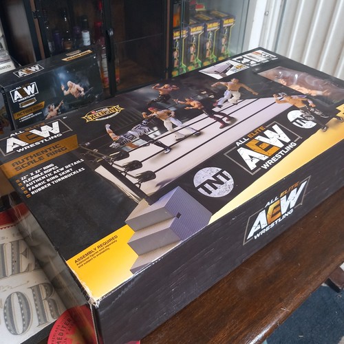 Aew authentic scale ring - scale,