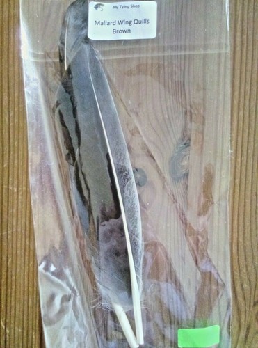 Pair mallard wing quills - pair,