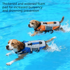 Dog life jacket safety - dog,