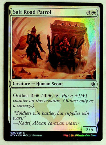 Salt road patrol - salt,