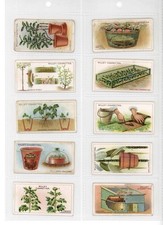 Wills Gardening Hints 1923