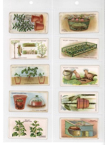 Wills gardening hints - wills,