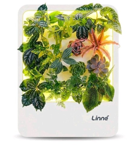 Indoor garden hydroponic - indoor,