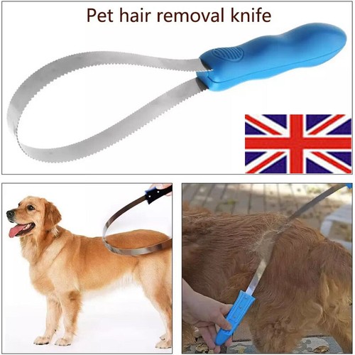 Pet dog horse metal sweat - pet,