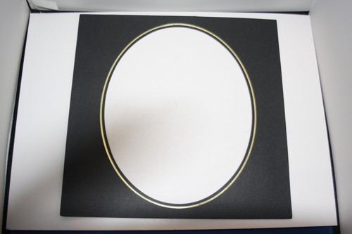 Spicer hallfield overlay black - spicer,