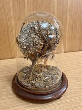 RARE Victorian Natural History