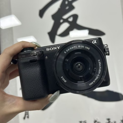 Sony alpha nex 1mp - alpha, nex-6
