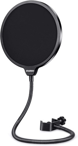 Professional microphone pop - professional,